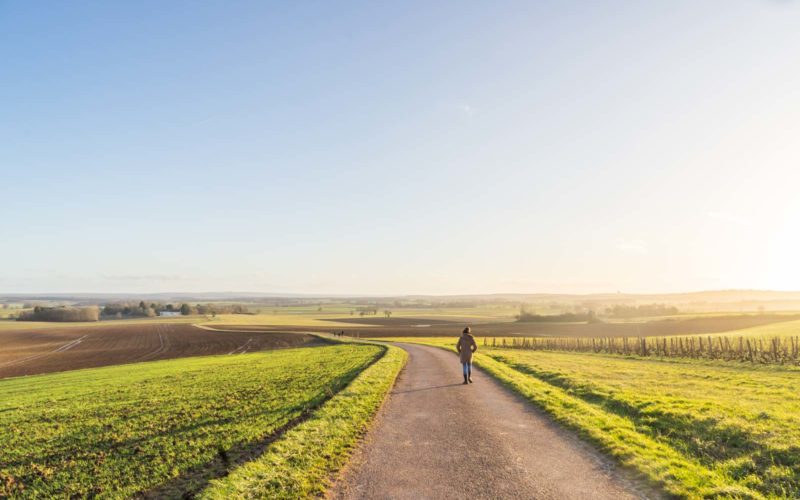 Paysages de Sainpuits. Photographie © http://ludovicmaillard.com